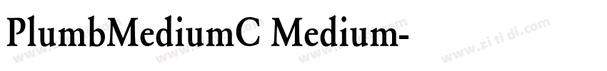 PlumbMediumC Medium字体转换
